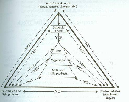 Tropholgy Chart